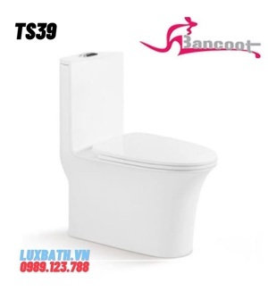 Bồn cầu 1 khối Bancoot TS39
