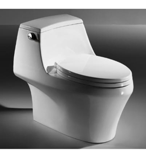 Bồn cầu 1 khối Bravat C21120XUW-3BA-ENG