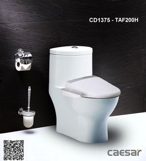 Bồn cầu 1 khối Caesar CD1375/TAF200H