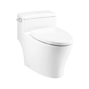 Bồn cầu 1 khối Cotto C10347