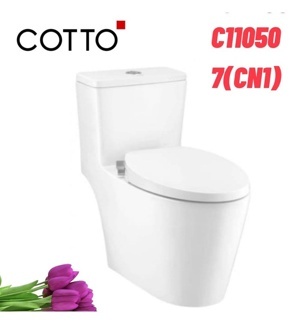 Bồn cầu 1 khối Cotto C110507(CN1)