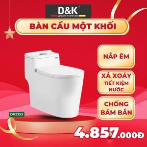 Bồn cầu 1 khối DK C2393