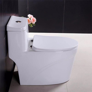 Bồn cầu 1 khối Foxis 1308