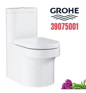 Bồn cầu 1 Khối grohe 39075001