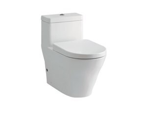 Bồn cầu 1 khối kèm nắp rửa êm Toto CW166RB-TC384CVK