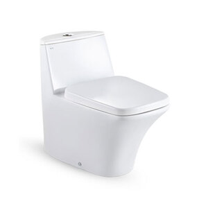 Bồn cầu 1 khối Nahm SVN28104100N01