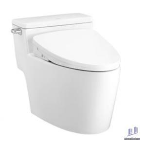 Bồn cầu 1 khối nắp rửa điện tử Cotto C105267(CV10)