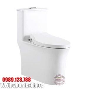 Bồn cầu 1 khối Royal RA-6622T + Nắp RA-001