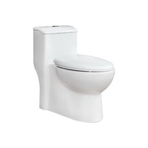 Bồn cầu 1 khối Thiên Thanh Titan (CK68)