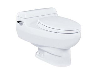 Bồn cầu 1 khối TOTO MS436T3