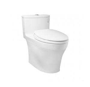 Bồn cầu 1 khối Toto MS885DT2