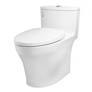 Bồn cầu 1 khối Toto MS885DT3#XW