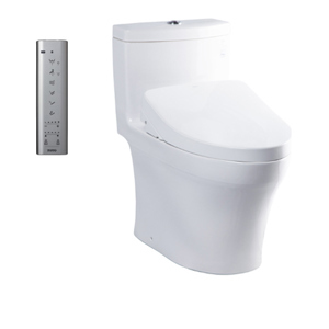 Bồn cầu 1 khối Toto MS889CDRW12