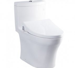 Bồn cầu 1 khối Toto MS889DE2