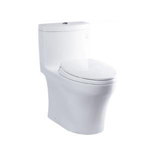 Bồn cầu 1 khối Toto MS889DRT2