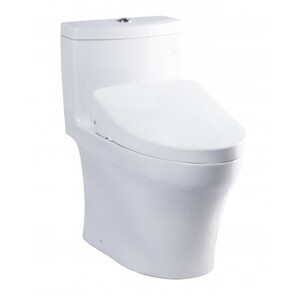 Bồn cầu 1 khối Toto MS889DW11