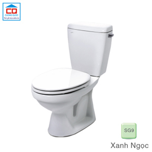 Bồn cầu 2 khối Inax C-117VA/SG9