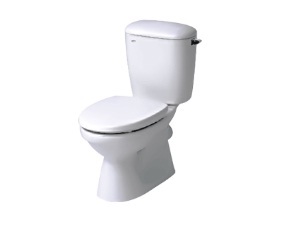 Bồn cầu 2 khối Inax C-333VPT