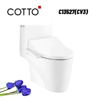 Bồn cầu 2 khối nắp rửa điện tử Cotto C13527(CV3)