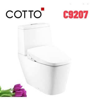 Bồn cầu 2 khối nắp rửa điện tử Cotto C135127(CV9)