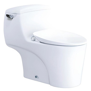 Bồn cầu Caesar C1353