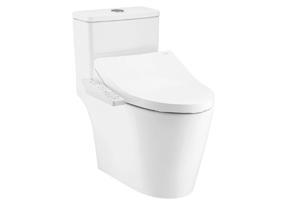 Bồn cầu Cotto C167507(CV3)