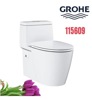 Bồn cầu đặt sàn Grohe 115609