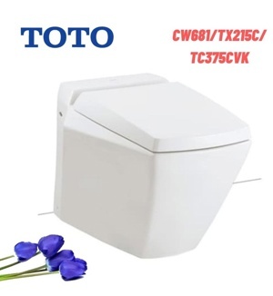 Bồn cầu đặt sàn ToTo CW681/TC375CVK