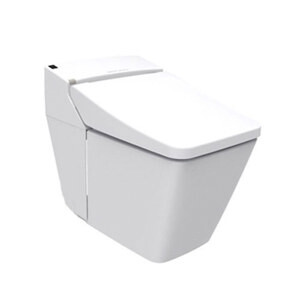 Bồn cầu điện tử American Standard WP-1806