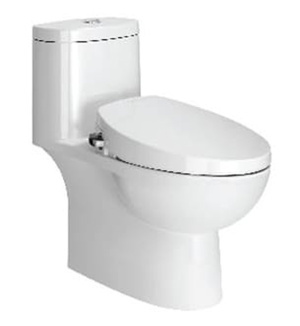 Bồn cầu điện tử American Standard VF-2024S - 1 khối