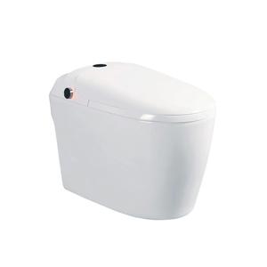 Bồn cầu điện tử D&K DK AC1229