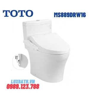 Bồn cầu điện tử Toto MS889DRW16