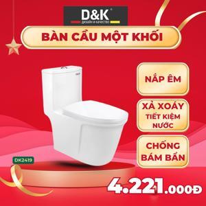 Bồn cầu DK C2419