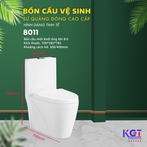 Bồn cầu Forlard 8011