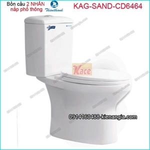 Bồn cầu hai khối Thiên Thanh Sand B6464TS2T