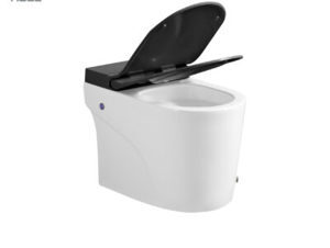 Bồn cầu Huge H-BS2088B