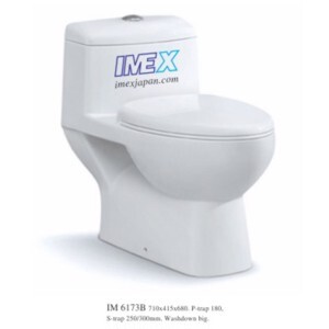 Bồn cầu Imex IM 6143