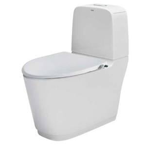 Bồn cầu Inax 2 khối AC-832 + CW-S15VN nắp rửa Cơ