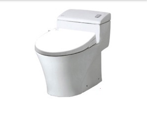 Bồn cầu Inax AC-1008R+CW-S15VN (Nắp shower toilet)