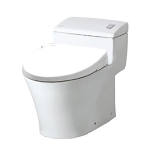 Bồn cầu Inax AC-1008R+CW-S15VN (Nắp shower toilet)