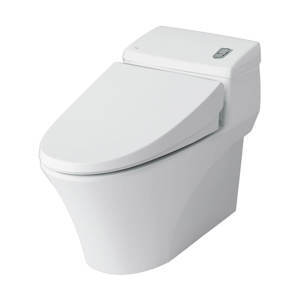 Bồn cầu Inax AC-1008VRN - 1 khối