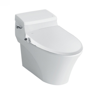 Bồn cầu Inax AC-1017R+CW-S15VN (Nắp shower toilet)