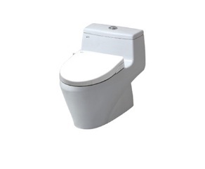 Bồn cầu Inax AC-1035+CW-S15VN (Nắp shower toilet)