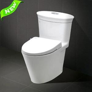 Bồn cầu INAX AC-3003+CW-S15VN (Nắp shower toilet)