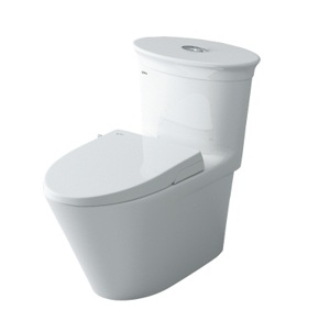 Bồn cầu INAX AC-3003+CW-S15VN (Nắp shower toilet)