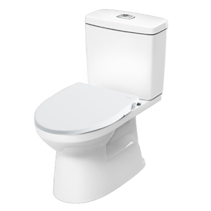 Bồn cầu Inax AC-504A+CW-S15VN (Nắp shower toilet)