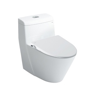 Bồn cầu Inax AC-909R+CW-S15VN (Nắp shower toilet)