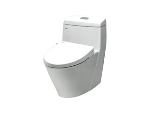 Bồn cầu Inax AC-909R+CW-S15VN (Nắp shower toilet)