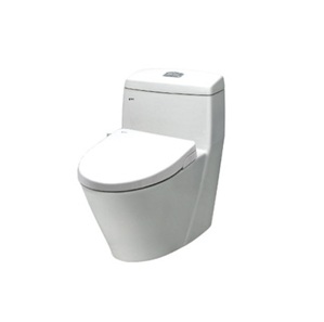 Bồn cầu Inax AC-909R+CW-S15VN (Nắp shower toilet)