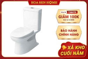 Bồn cầu Inax AC-808VN - 2 khối